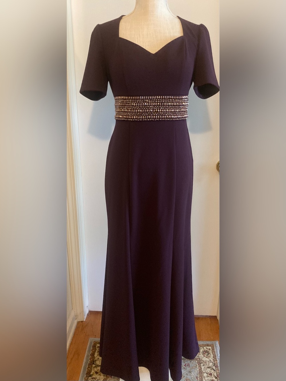 Alex Evening Aubergine Fit & Flare Gown